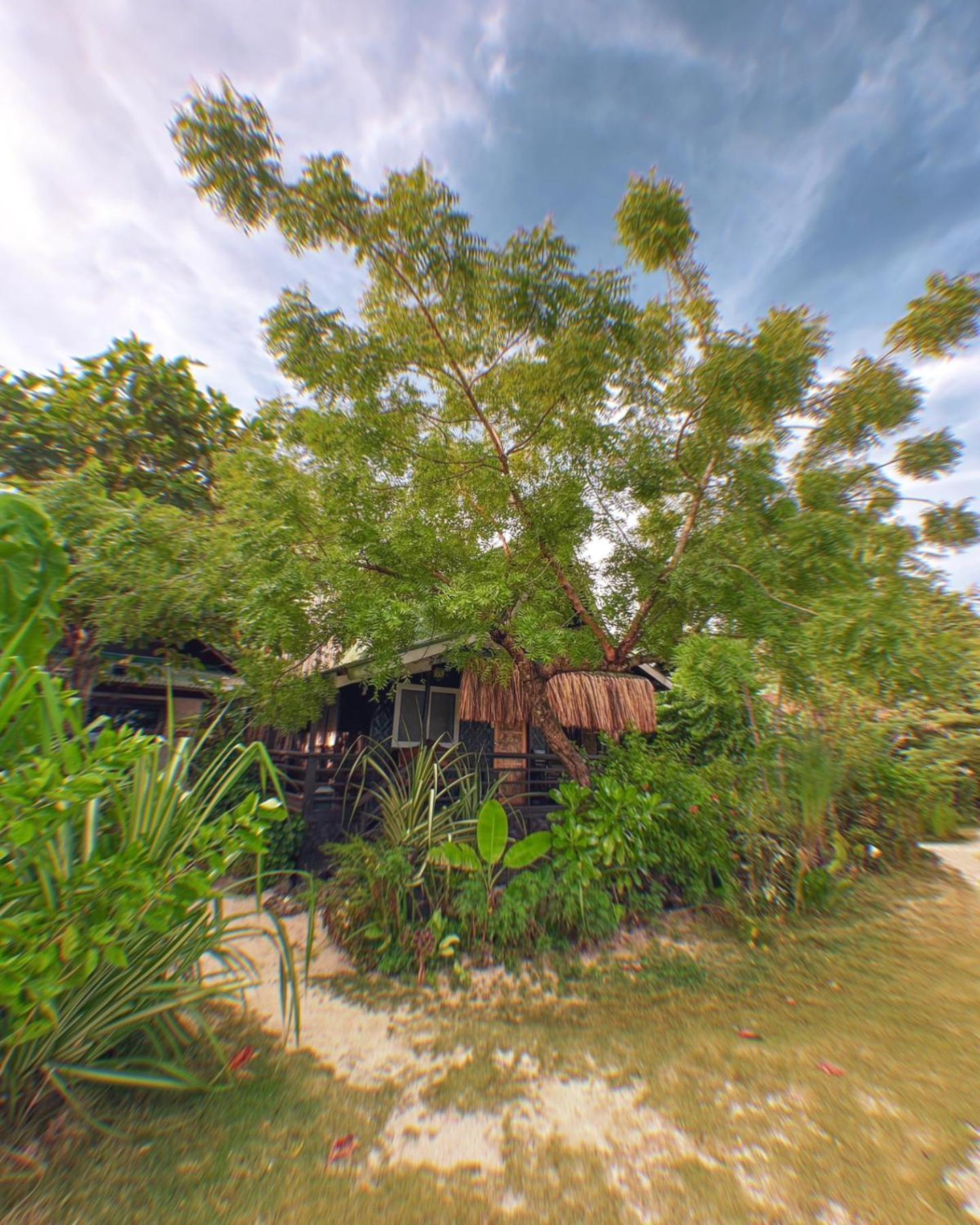Patrick'S On The Beach Resort General Luna  Exterior photo